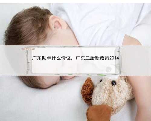 广东助孕什么价位，广东二胎新政策2014