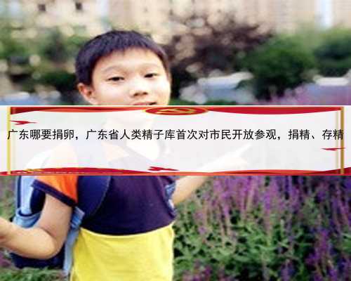 广东哪要捐卵，广东省人类精子库首次对市民开放参观，捐精、存精