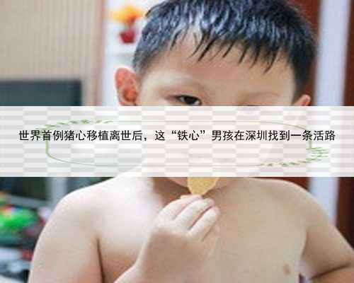 世界首例猪心移植离世后，这“铁心”男孩在深圳找到一条活路